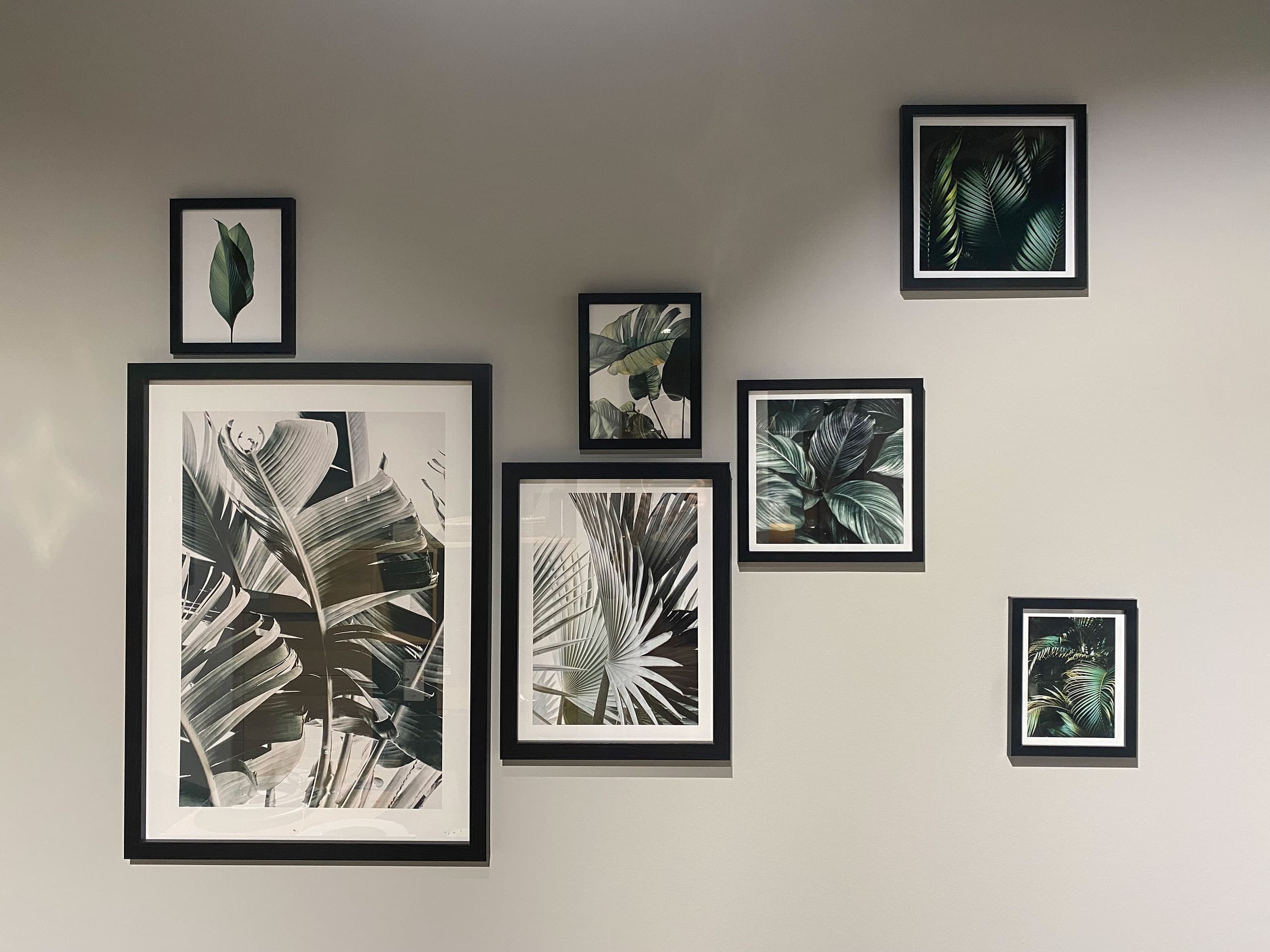 Eine Galeriewand mit gerahmten botanischen Drucken, die verschiedene grüne Blätter auf einem schlichten grauen Hintergrund zeigen.